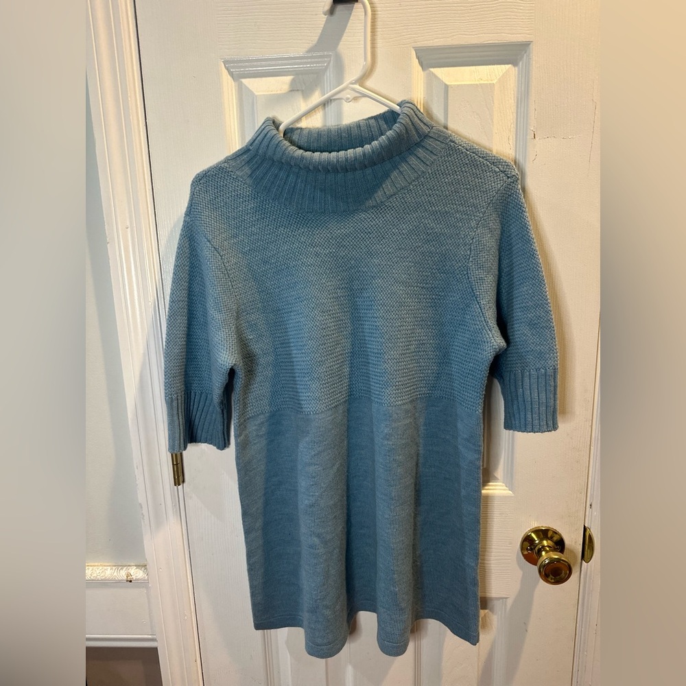 Eileen Fisher Petite Merino‎ Wool Blue Sweater Short Sleeves Turtleneck PL